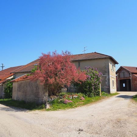Le Gite Du Haut Châtillon-la-Palud Eksteriør bilde